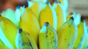 4K Video of cultivated banana in Thailand.