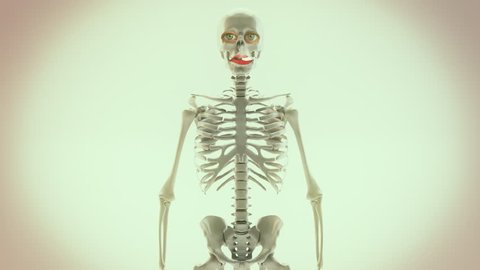 18 Funny Xray Stock Video Footage - 4K and HD Video Clips | Shutterstock 18 Funny Xray Stock Video Footage - 4K and HD Video Clips | Shutterstock