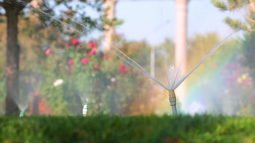Sprinkler for automatic lawn watering. Lawn cultivation and care, garden irrigation devices. Rainbow over the garden on a sunny day. Royalty-Free Stock Footage #1099630429