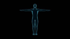 Human body. Human model rotation. Bioengineering and medical technology concept. Loopable video.