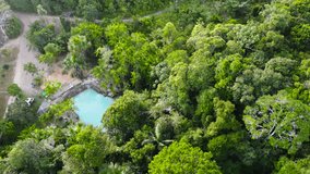Camera circling the pale blue water of a natural pool surrounded by palm trees and tropical rainforest Aerial Video
