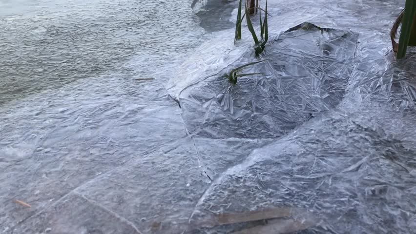 Cracked ice close up on the lake with dry reeds