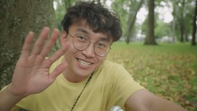 POV of young Asian man sitting by tree in park, waving and talking on camera while video calling outdoors on summer day