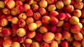Top view footage of nectarines at farmer's market captured in Ayvalik, Turkey. Camera moves around.