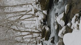 Beautiful snow scene in Oirase River in Aomori Prefecture in Japan in winter, Travel or outdoor, Nobody, Vertical video for smartphone footage