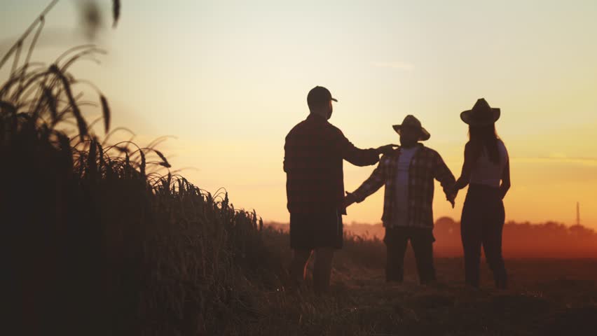 Silhouette of farmers, standing at background beautiful red-yellow-orange sunset, discussing successful teamwork, colleagues give high five with palms. Agriculture, wheat field at rural nature. | Shutterstock HD Video #1099663923