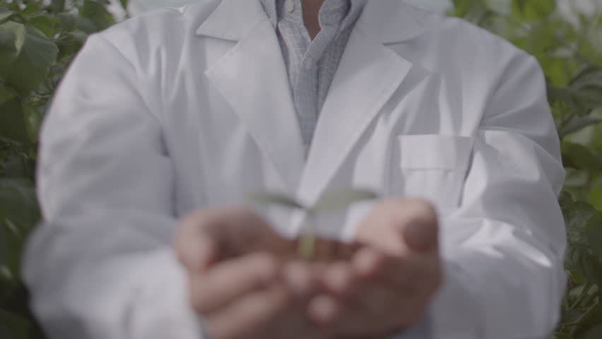 Environmentally Friendly ESG Researcher Natural Hand Soil Plants | Shutterstock HD Video #1099668435