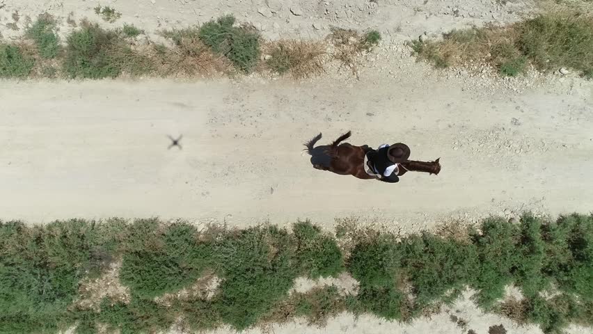 Aerial view of a man on a horse.