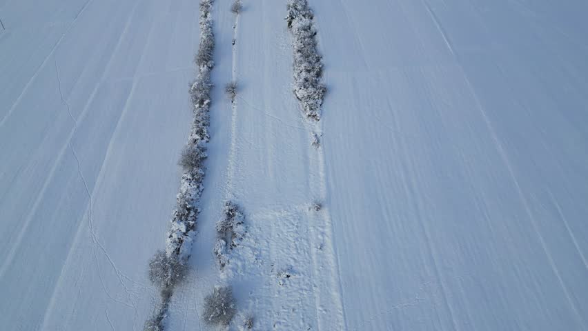 Winter view of snowy fields with spits overgrown with shrubs 