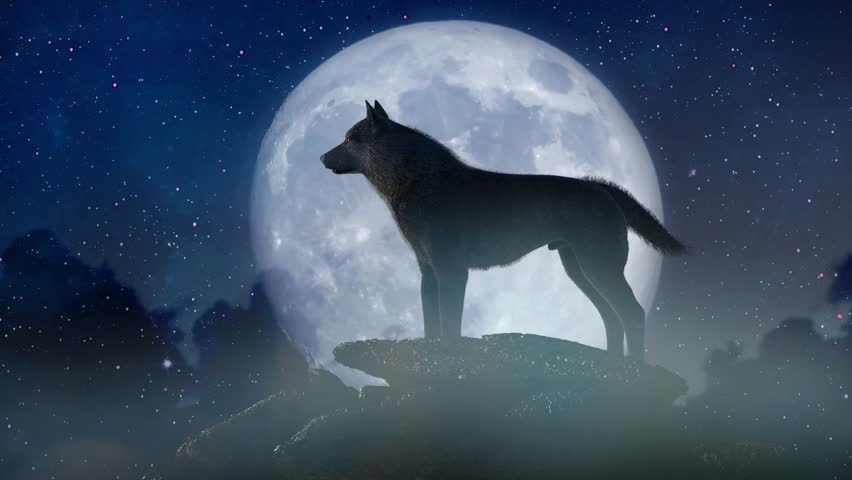 silhouette of wolf howling at the full moon  3d render