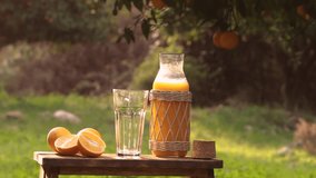 Woman Pours Orange Juice Into Glass From Decanter On Background Of Orange Garden. Hands Close Up.  Boottle Of Juice, Rip Orange Slices. Organic, Vegan Food.