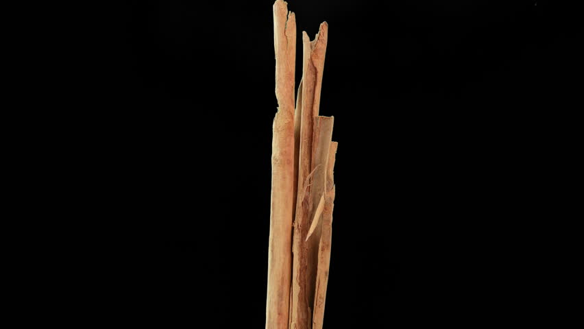 Cinnamon stick falling and spinning in slow motion | Shutterstock HD Video #1099692981