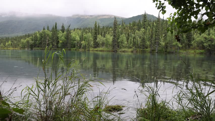 The Tanalian River flowing through Lake Clark National Park in Alaska near Port Alsworth.