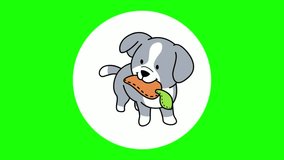 cute dog activity animation, with green screen background