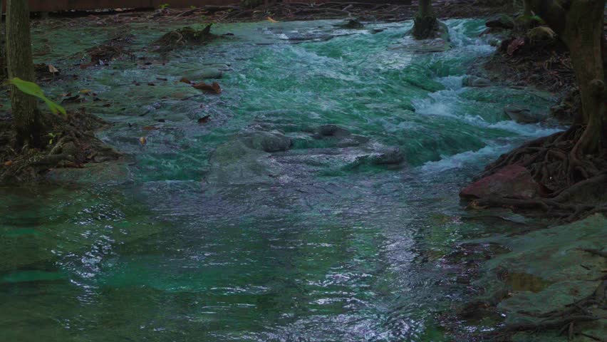 The green nature of the tropical forest has clear blue water. Krabi Emerald Pool, Krabi Province, Thailand