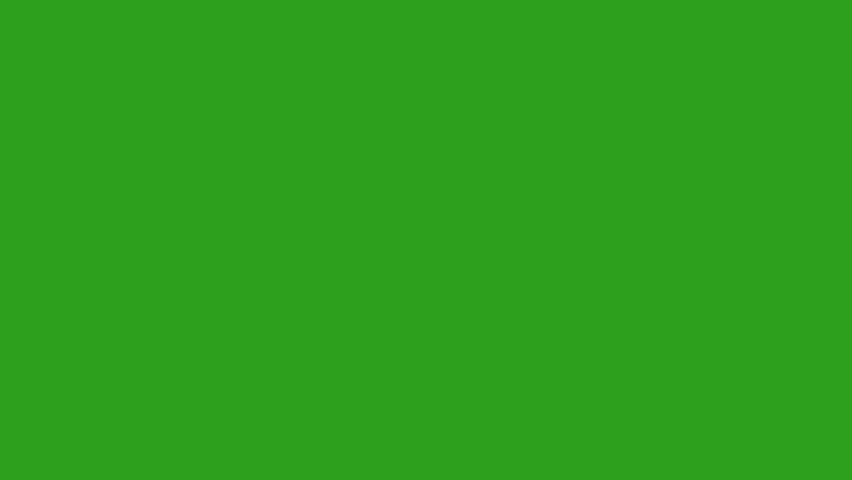 Search Bar Query Text Box on green screen animation. Royalty-Free Stock Footage #1099705571