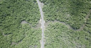 Aerial Drone Video of Road in between forest in Asia