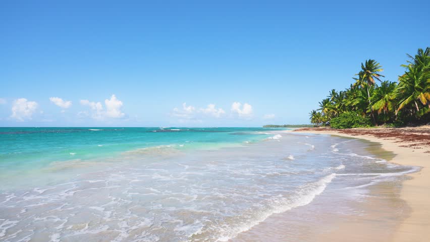 Scenic view of a wild tropical beach in Haiti on a sunny day. Landscape with blue ocean and sky, palm tree background, summer concept. Dream scene. Summer view of nature.