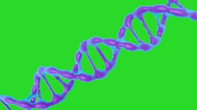 DNA molecules animation on a green screen. 3d rendering. Biotechnology, biochemistry, genetics and medicine concept. DNA chain. - Powered by Shutterstock - Get 15% off with code: PIKWIZARD15