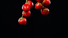 bright red and yellow, exotic and aphrodisiac fruit from the colombian amazon rotating on black background