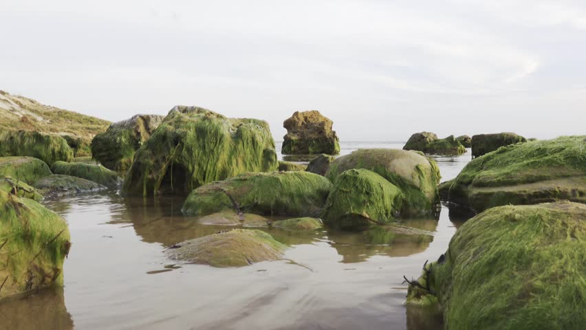 Mossy boulders near Scala dei Turchi (Stair of the Turks) in Argigento, Sicily at sunset