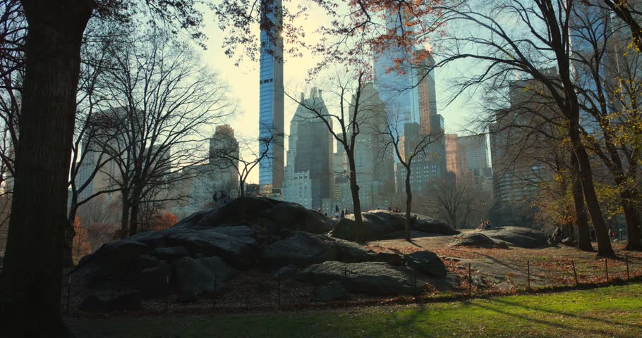 Dramatic Scene Of Sunrise At The Central Park In New York City, United States. Wide Shot | Shutterstock HD Video #1099735621