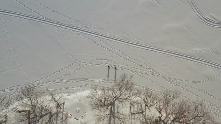 Aerial top down, two people cross country skiing on frozen snow covered lake next to dead trees