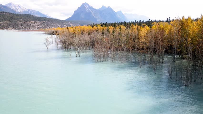 Abraham Lake In Autumn Season