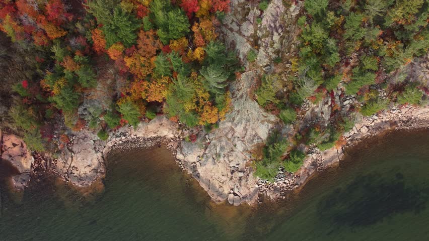 Overhead View Of Colored Foliage In Autumnal Forest At The Rocky Shoreline. Aerial Tracking Shot