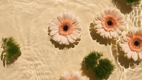 Sunflower flowers, gerbera petals flowers on water surface with drops. Splash yellow colored. Pure water with reflections sunlight and shadows. Valentines day texture. Advertising product. - Powered by Shutterstock - Get 15% off with code: PIKWIZARD15
