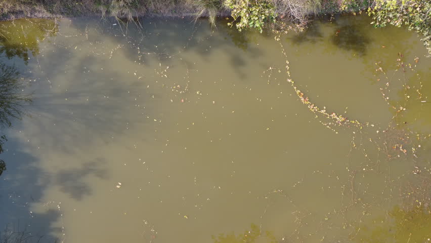 Aerial view of ponds for agriculture in rural areas. Pond for aggregate agriculture. Concept of sufficiency economy