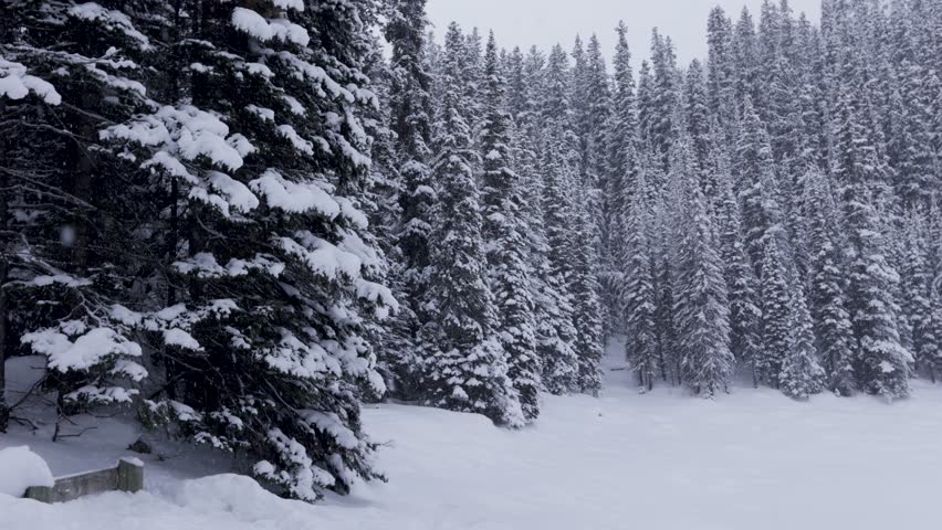 Mirror Lake Snowfall, Banff National Park. 4K