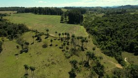 Flying over the city of Espirito Santo do Pinhal, in the state of Sao Paulo, upstate. countryside town, with plantations. 4k drone videos.