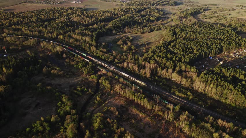 Aerial view of forest canopy with dense trees and natural scenery