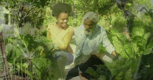 Animation of leaves over african american couple working in garden. Gardening, lifestyle and nature concept digitally generated video.