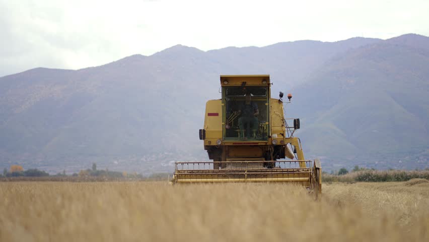 Combine harvester in corn agrucyktyre field, slow motion | Shutterstock HD Video #1099792205