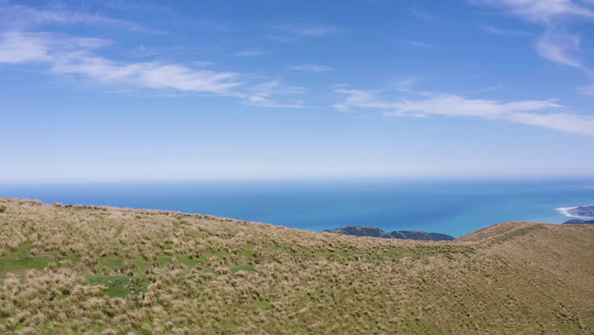 The Rolling Hills and Mountains of New Zealand overlook the stunning beaches in Kiakoura.