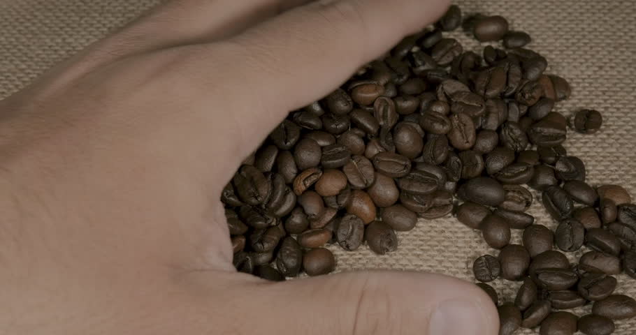 Male hand picking coffee beans | Shutterstock HD Video #1099803637