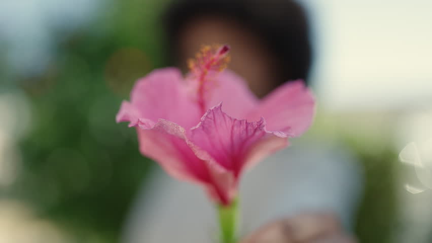 African american woman smiling confident holding flower at park