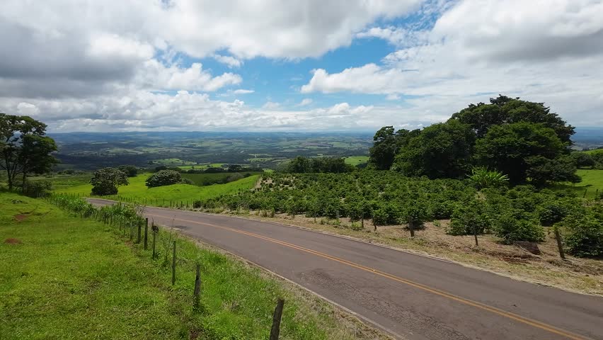 Agriculture Field At Rural Landscape In Countryside Scenery. Country Green. Field Environmental. Rural Landscape At Countryside Scenery. Plantation Country. Farming Environmental.