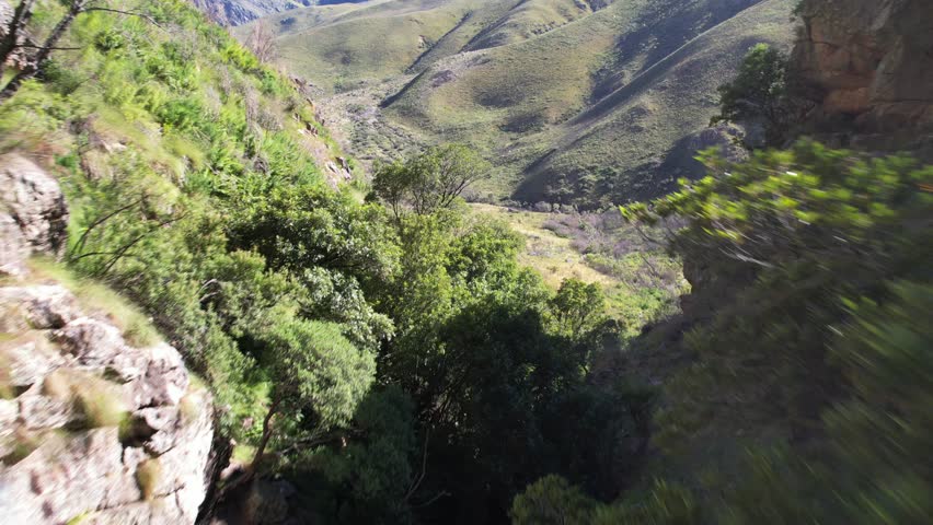 Valley flythrough in Jonkershoek Mountains