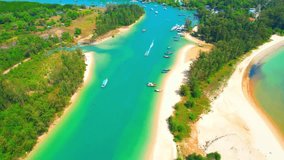 Sandy shores and pine trees in tropical seas, beautiful turquoise waters, Many long tail boats stands on the seashore on a sandy beach. Krabi, Thailand. Andaman Sea on a clear day. Travel concept.
