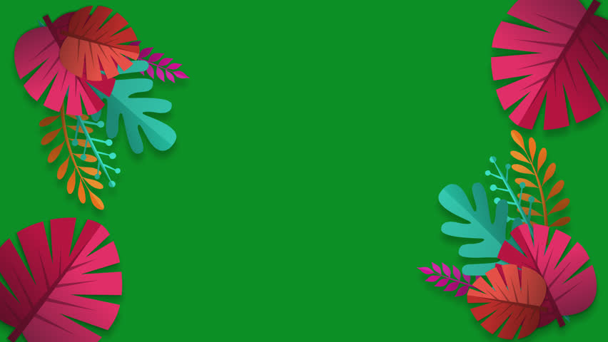 Colorful palm tree frame animation on green screen. Summer leaf's frame animation with key color. Illustration flower frame. Chroma color. Royalty-Free Stock Footage #1099828087