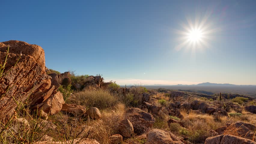 Timelapse - Hyperlapse of sunset behind iconic Arizona cactus Royalty-Free Stock Footage #1099833595