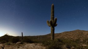 Timelapse - Hyperlapse of stars behind iconic Arizona cactus