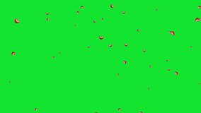 Hearts fall on a green screen. Falling hearts animation with key color. Women's day, Valentine's Day, and Wedding day heart animation. Chrome color. 4K video