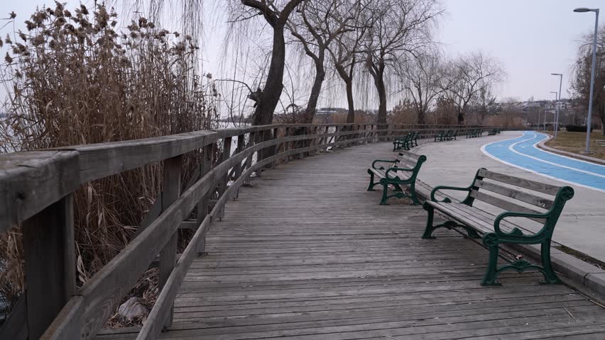 the man running in the park
