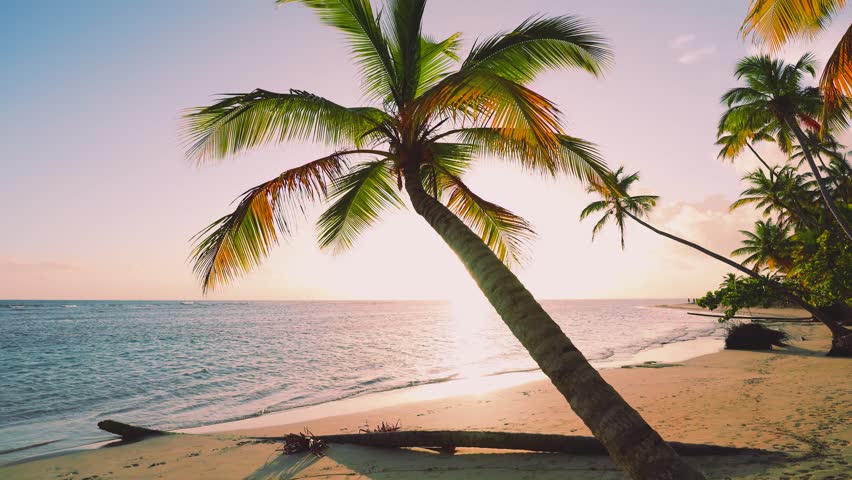 Picturesque landscape of a palm beach in the evening sunset. Twilight on a tropical island. Calm blue mediterranean sea, colorful fluffy glowing pink clouds in the evening sky, sandy coastline. | Shutterstock HD Video #1099844447