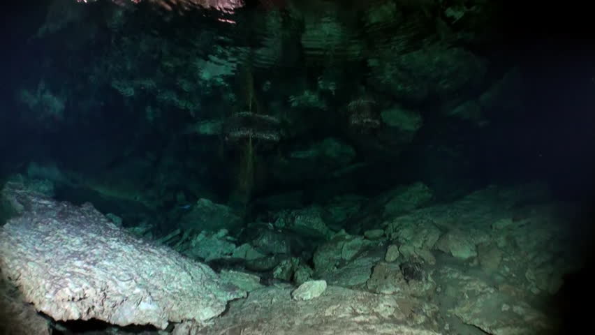 View from under clear water to trees and tree roots and ray of suns in cave of underwater Yucatan Mexico cenotes. Cave diving. Unique beautiful video footage of wildlife in underwater world. | Shutterstock HD Video #1099847275