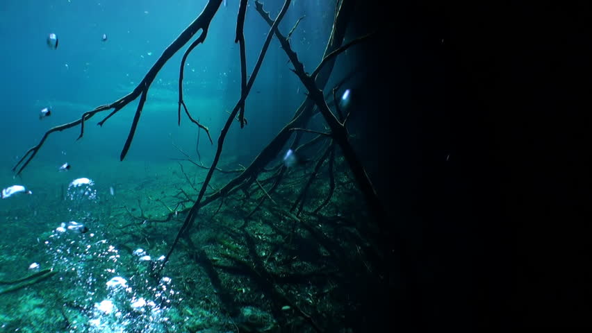 View from under clear water to trees and tree roots and ray of suns in cave of underwater Yucatan Mexico cenotes. Cave diving. Unique beautiful video footage of wildlife in underwater world. | Shutterstock HD Video #1099847313